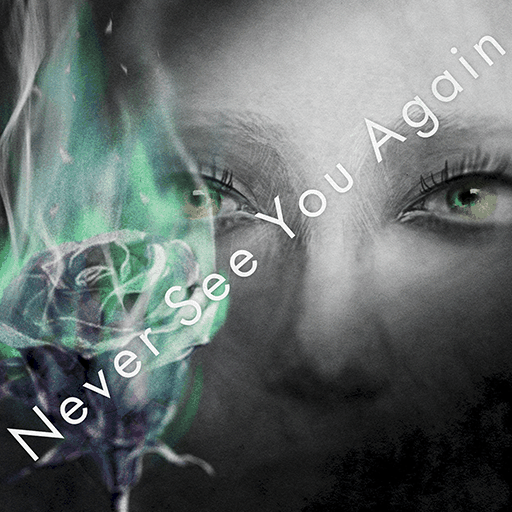 Never See You Again